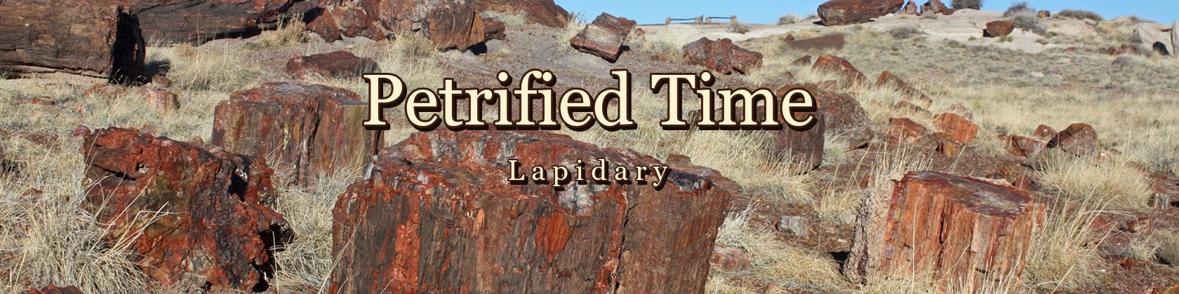 Petrified Time Lapidary — petrified wood in the Arizona desert