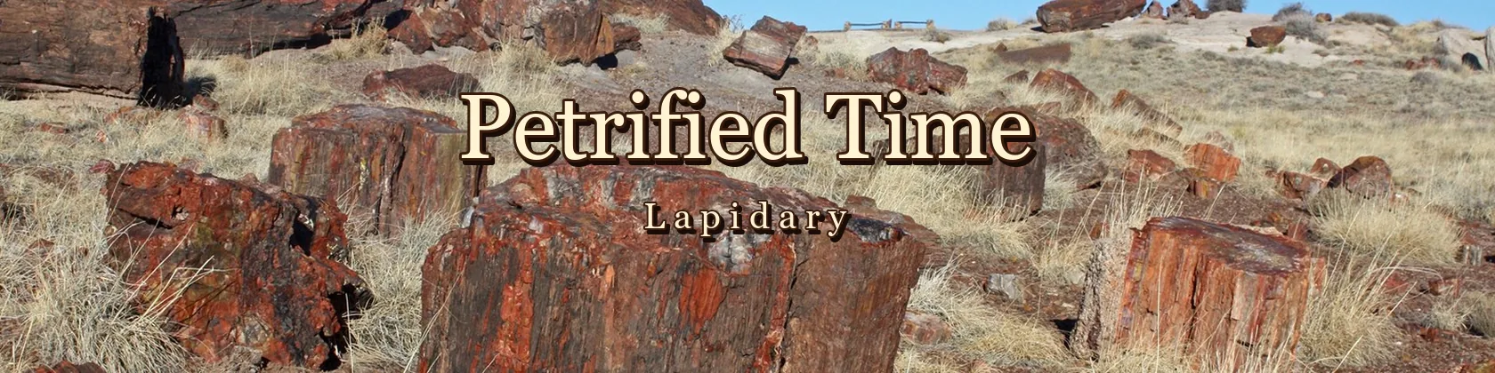 Petrified Time Lapidary — petrified wood in the Arizona desert